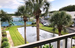 2164 VISTA DEL SOL Circle, LUTZ, FL 33558