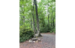 Tbd Forest Park Lane, Fancy Gap, VA 24328