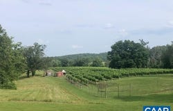 3613 WALNUT BRANCH LN, NORTH GARDEN, VA 22959