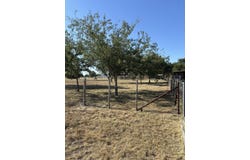 1 Deloris Dr, Harper, TX 78631