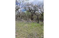 E 17 Ac Burwick Road, Jacksboro, TX 76458