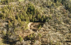 Morgensen Rd, Mosier, OR 97040