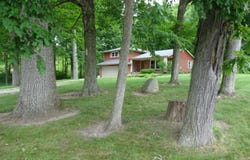 1400 E County Road 775 S, Muncie, IN 47302