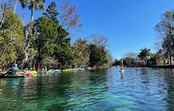 777 W Hallam Drive, Citrus Springs, FL 34434