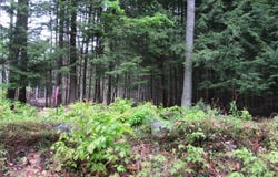 L5 Seven Hills Road, Northampton, NY 12134