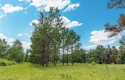 00 Pineview Road, Waycross, GA 31501