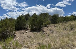 Santa Fe Trail, Trinidad, CO 81082