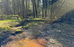 Oregon Road, Butternuts, NY 13776