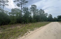 Tbd SW 159 COURT, OCALA, FL 34481