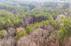 3172 Buckhorn Lane, Wake Forest, NC 27587