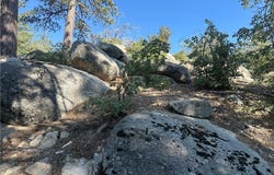 Hillcrest Drive, Arrowbear, CA 92382