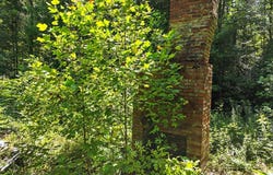 245+/-ac Gates Chapel Road, Ellijay, GA 30540