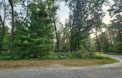 Wilderness Drive lot: 98, Alger, MI 48610