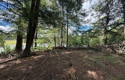 Off BOY SCOUT ISLAND RD, Watersmeet, MI 49969