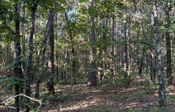 00 Uphilly Trail, Honobia, OK 74957