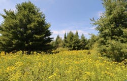 30210 Wannebo Rd, Washburn, WI 54891