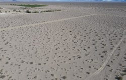 3536 Amargosa Farm Road, Amargosa Valley, NV 89020