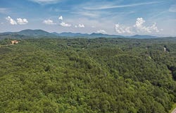 83.9 Ac Cutcane Road, Mineral Bluff, GA 30559