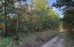 Larch St lot: #415, Johannesburg, MI 49751