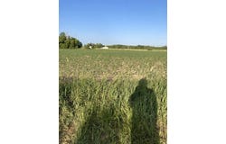 St Croix Rd SE - E Parcel 20.79 Ac, Pine City, MN 55063