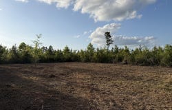 9 Acres HWY 48 E, Sandy Hook, MS 39478
