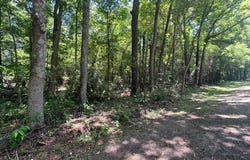 525 E Church St., Sandersville, GA 31082