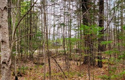 280 Guyette Rd, Marshfield, VT 05658