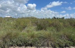 647 Flamingo Street, Sargent, TX 77414