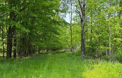 L14 and L1.9 County Hwy 10, Meredith, NY 13757