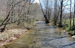 0 Jay Wheeler Road, Columbia, KY 42728