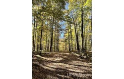 20.99 Acres Old J, Silver Cliff T-WI, WI 54104