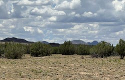 59 Rocky Rabbit Road, Ash Fork, AZ 86320