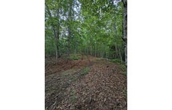 2 Cherokee Lane, McCaysville, GA 30555
