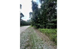 NE 642nd St, Old Town, FL 32680