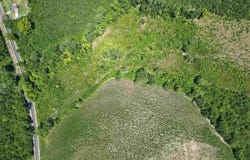 9.14 Acress Off Dalcho Rd, Latta, SC 29565