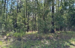 7861 N Valhalla Drive, Citrus Springs, FL 34434
