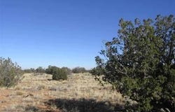 Sec 31 T15N,R16E:Nw4 Se4 --, Heber, AZ 85928
