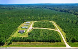 Lincolnton Road, Washington, GA 30673