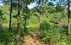 7950 STURGEON VALLEY DRIVE, INDIAN RIVER, MI 49749