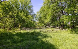 7 SE lenapah Street, Skiatook, OK 74070