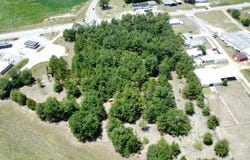 Tbd Edmund Highway, Pelion, SC 29123