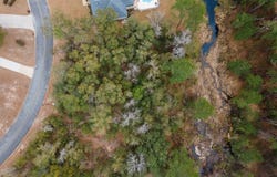 1 Red Oak Point, Naylor, GA 31641