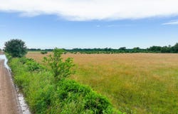 E Corner of E 310rd & S 660rd, Grove, OK 74344