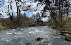 0 Old Railroad Grade RD, Yamhill, OR 97148