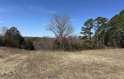 Tract 3 Deer Meadows Lane, Yellville, AR 72687