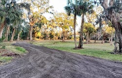 11105 WINN Road, RIVERVIEW, FL 33569