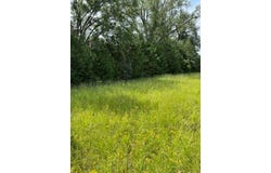 0 An County Road 2610, TENNESSEE COLONY, TX 75861