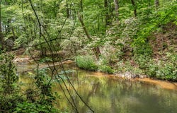 621 Pine View Drive, Westminster, SC 29693