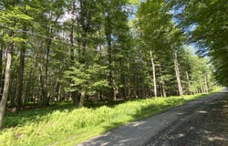 4 Basswood Drive, South Sterling, PA 18445