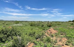 Tbd 25 acres CR 343, Merkel, TX 79536
